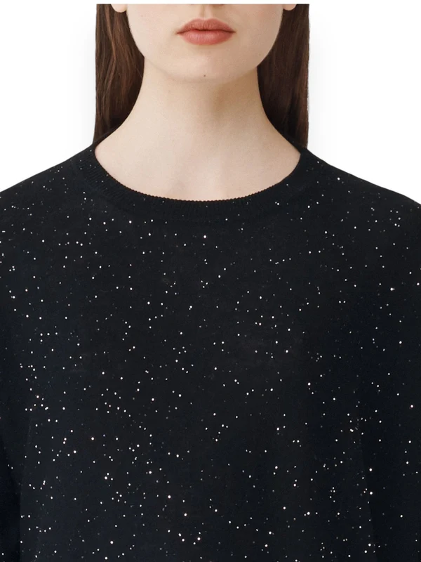 Sequin Embellished Crewneck Knit - Image 4