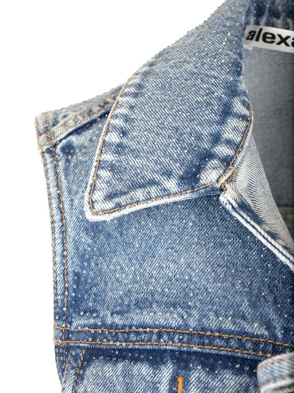 Alexanderwang Blue Vests - Image 4