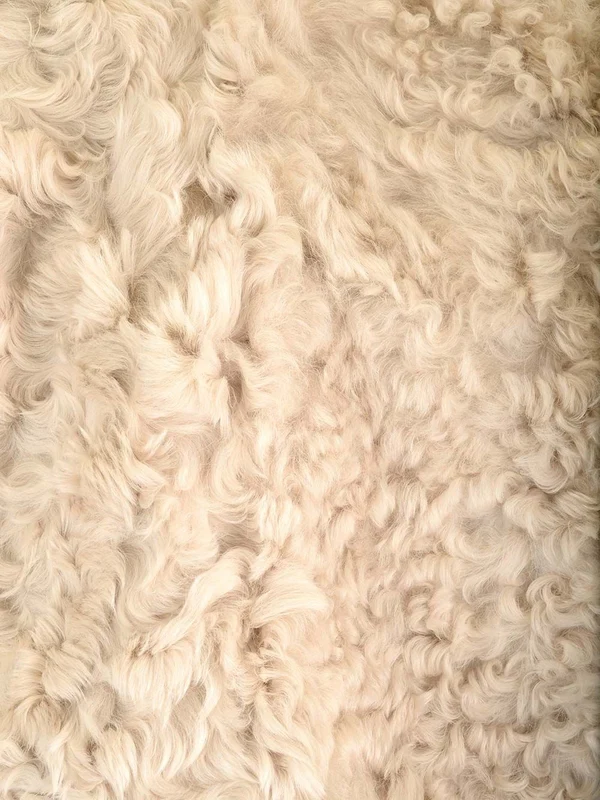 Durazzi Milano Black Fur & Shearling - Image 6