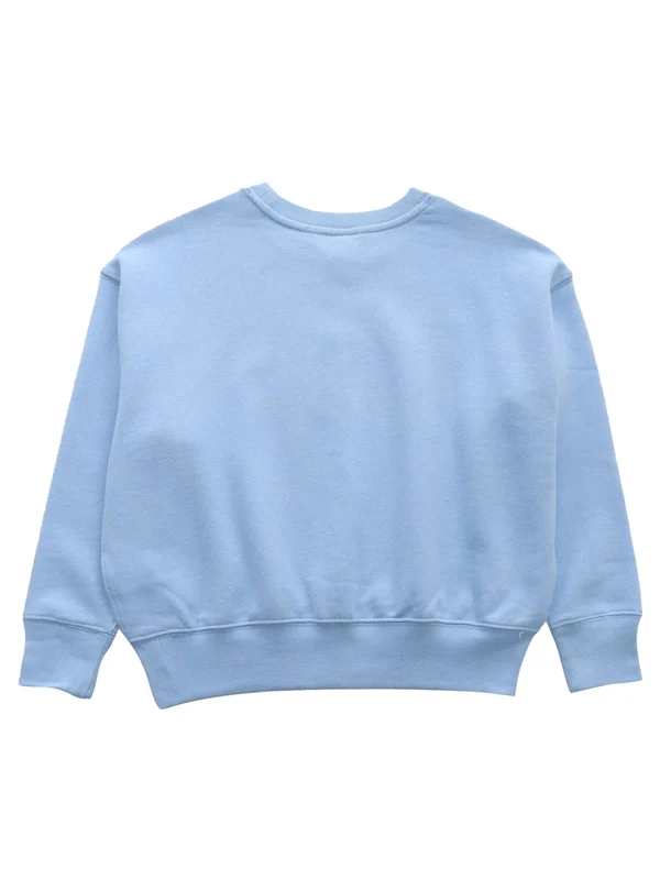 Polo Ralph Lauren Blue Sweatshirts - Image 2